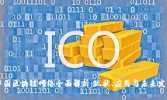 中国区块链网络全面解析：现状、应用与未来发